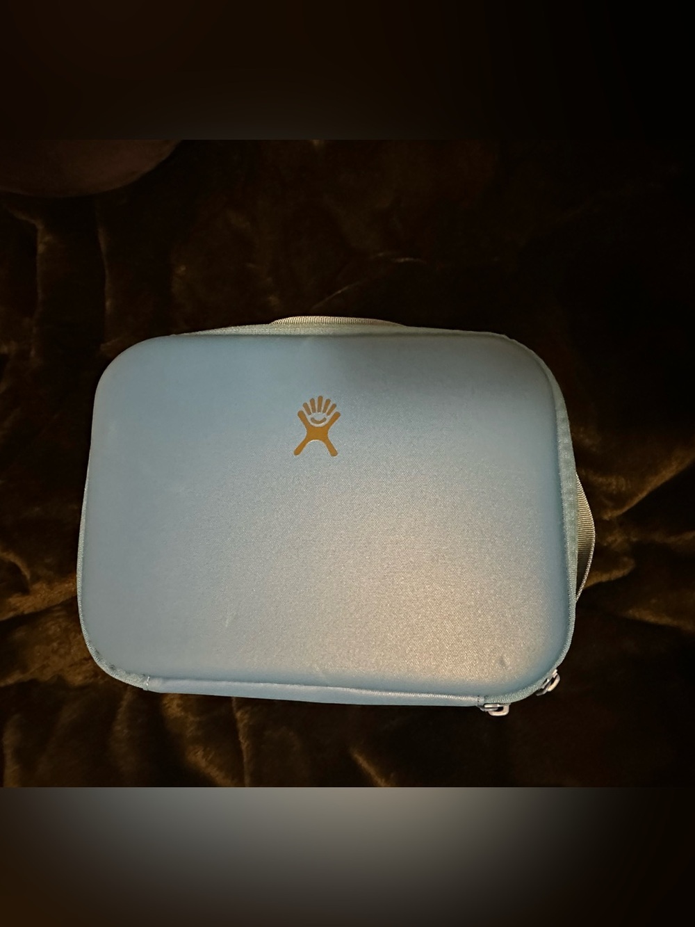 NEW Hydro Flask 5 L Carry Out Lunch Box BLUE - Picture 2 of 4